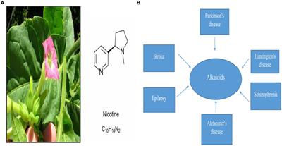 Nicotine-mediated therapy for Parkinson’s disease in transgenic Caenorhabditis elegans model